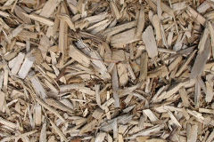 biomass boilers Boduan