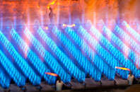 Boduan gas fired boilers